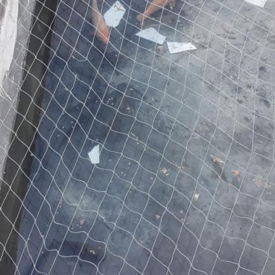 Whatsapp Image 2018 11 01 At 16.10.37