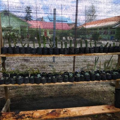 Img 20181029 Wa00133